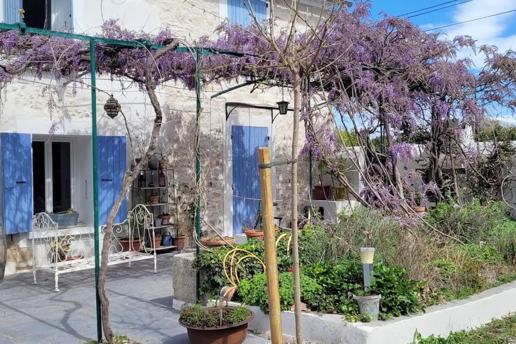 Location Appartement Dans Mas Provencal Монтё Экстерьер фото
